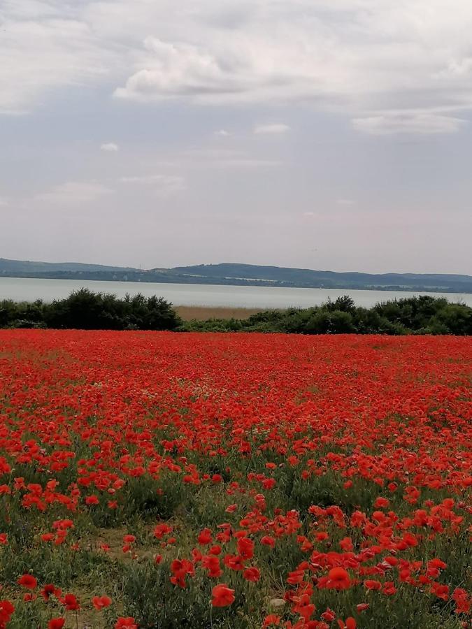 Aszofoi Panorama Apartmanhaz Exteriér fotografie